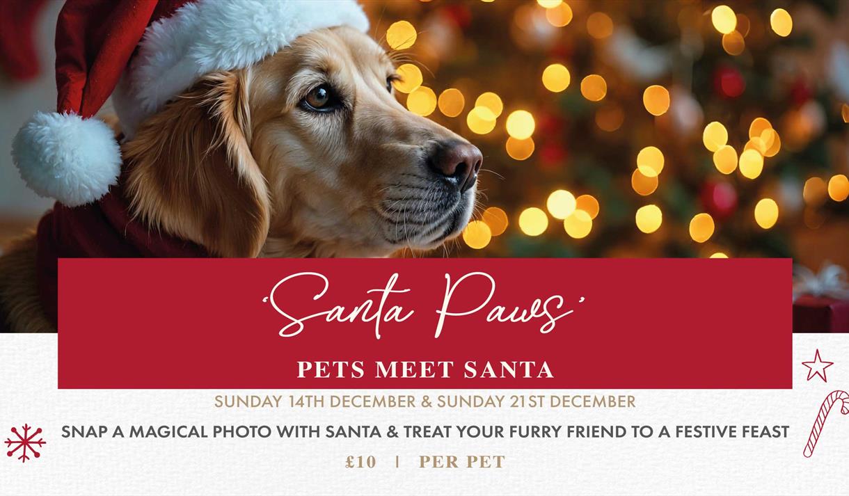 'Santa Paws' - Pets Meet Santa at Holland Hall