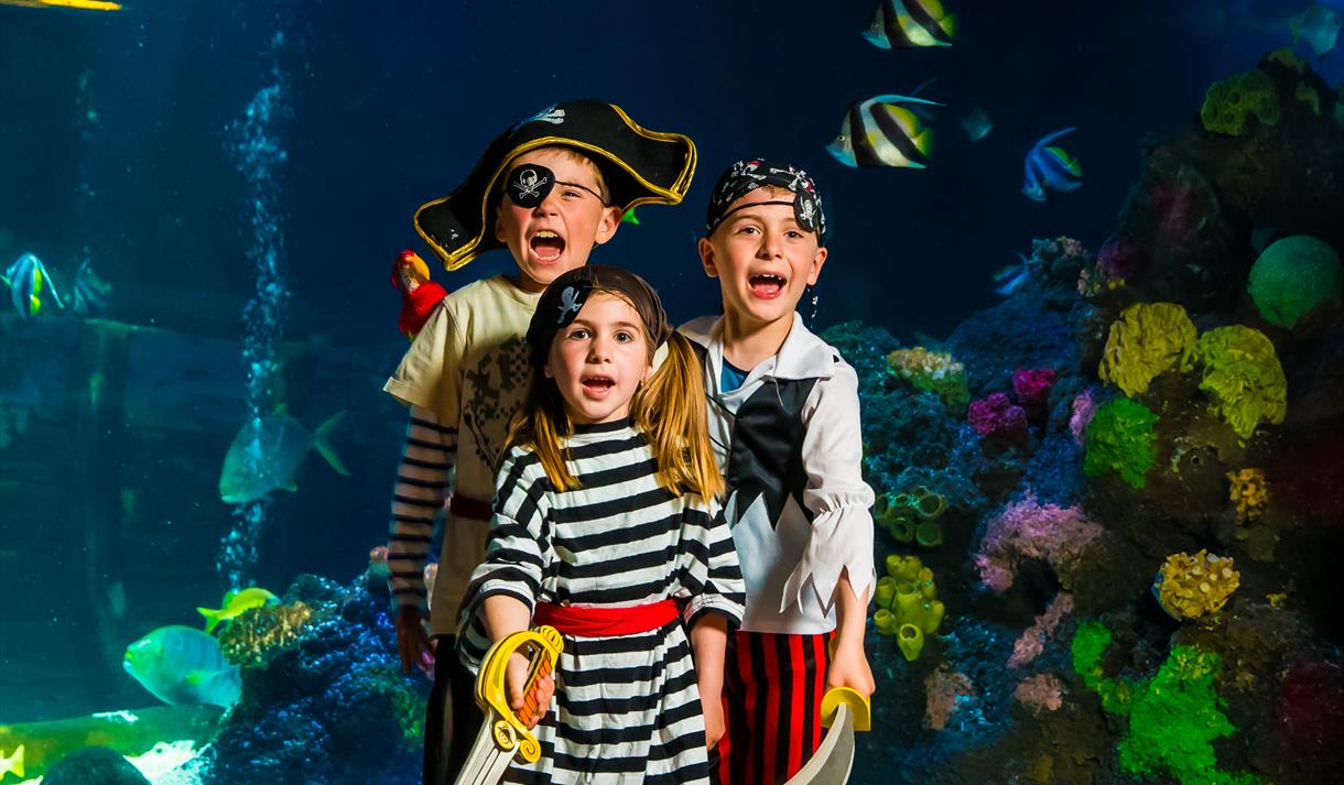 Pirate Treasure Hunt