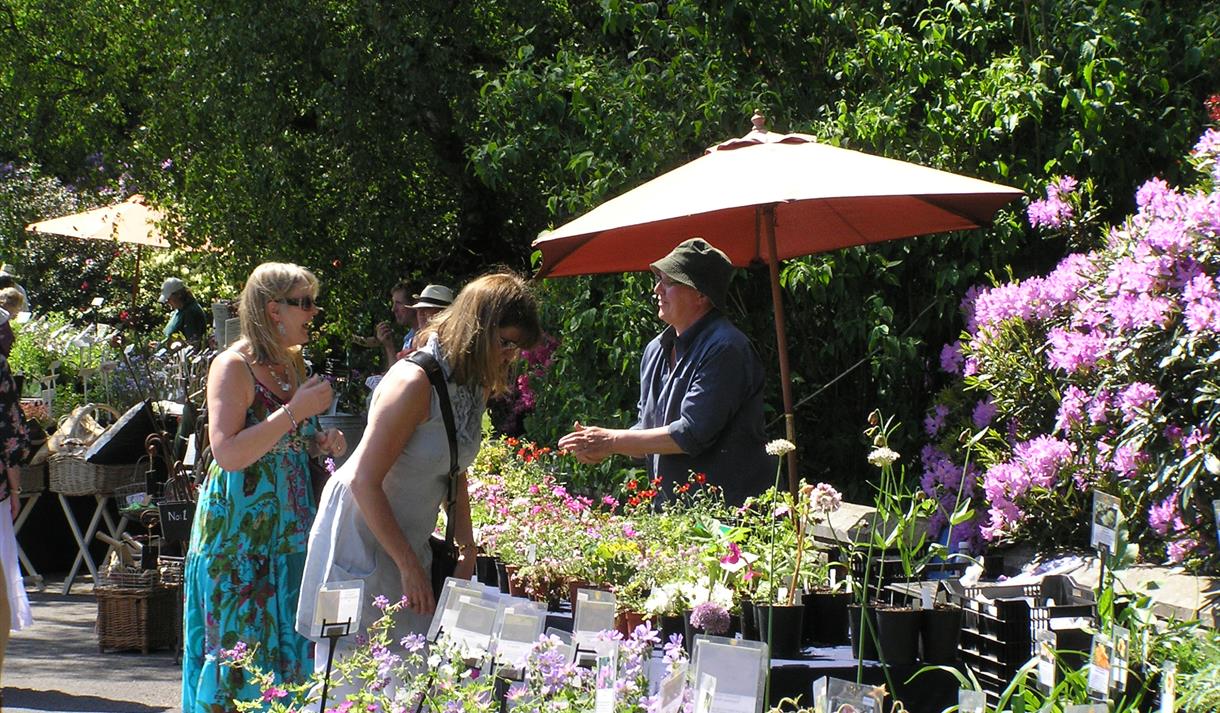 Spring Plant Hunters' Fair at Hoghton Tower