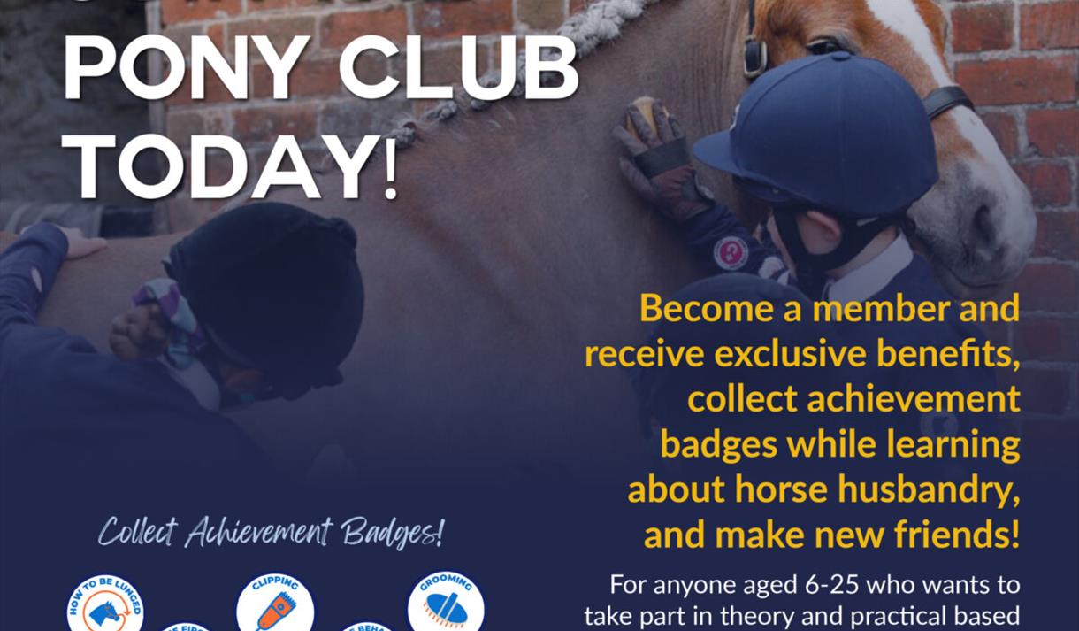 The Pony Club