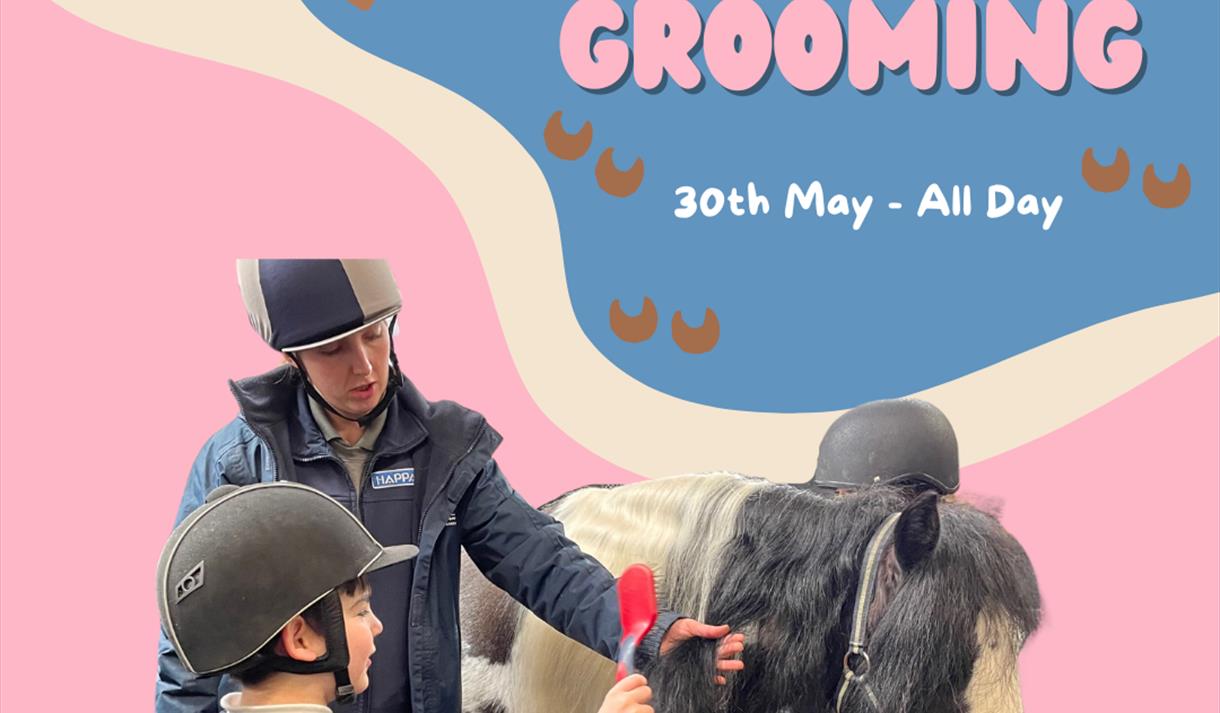 Pony Grooming