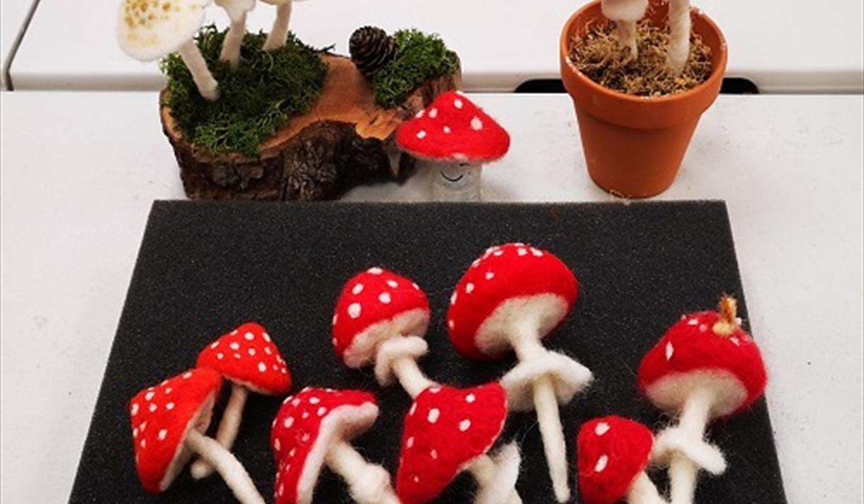 Needle Felting Workshop - Toadstools