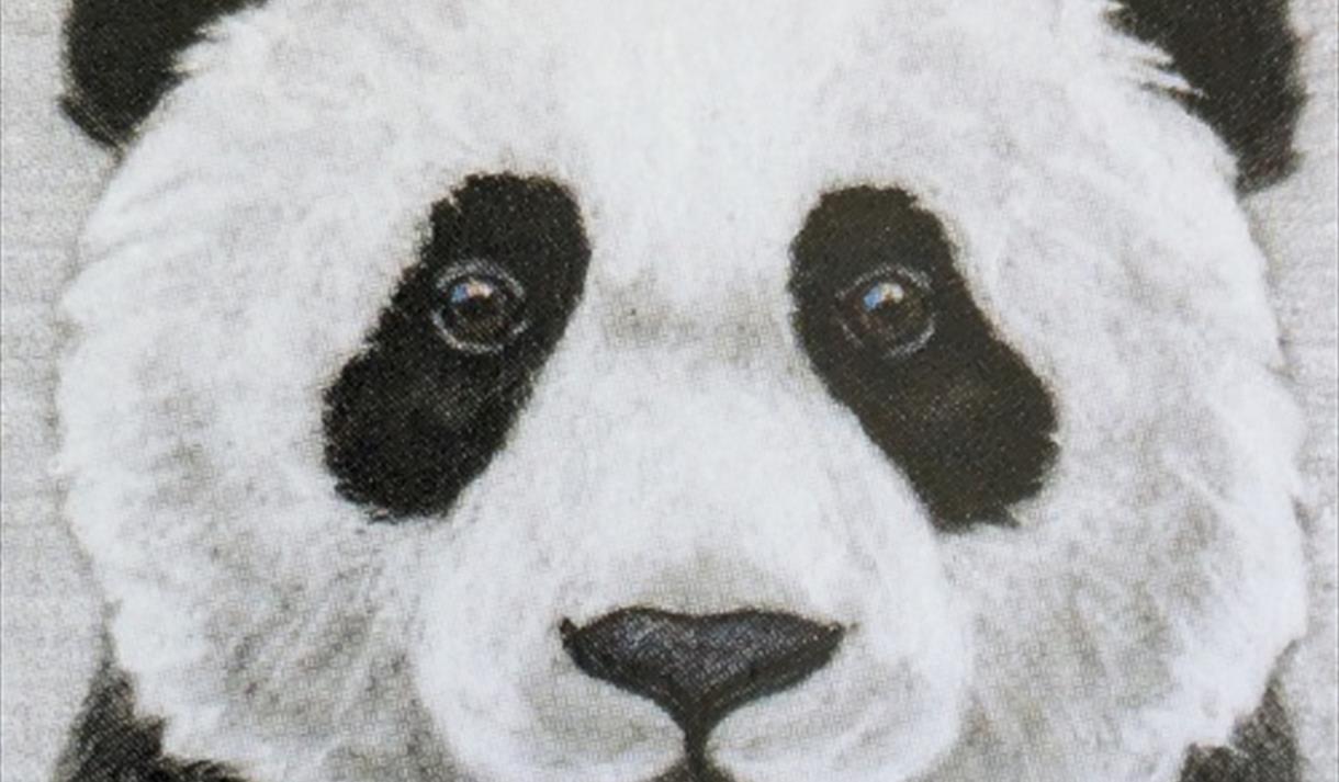 An Introduction to 2D Needle Felting