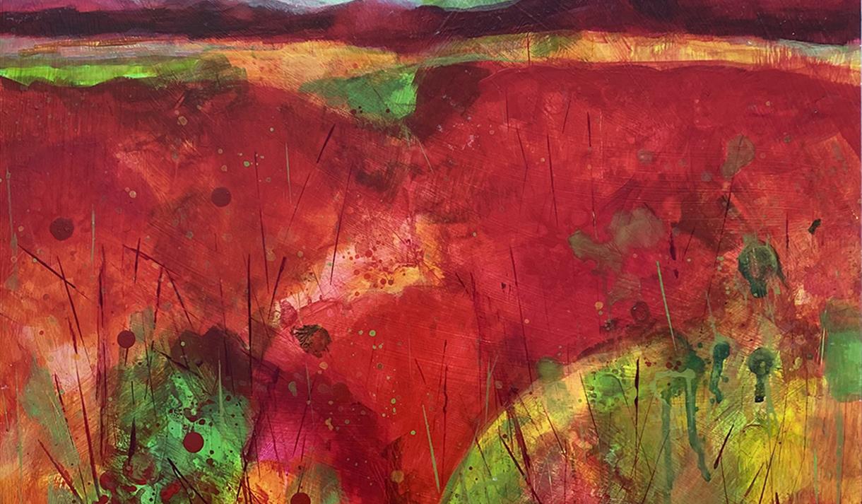 The Landing: Carole Dawber – Colourscape