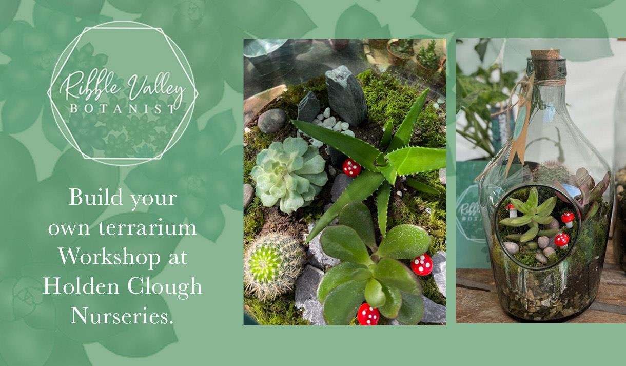 Terrarium Workshop