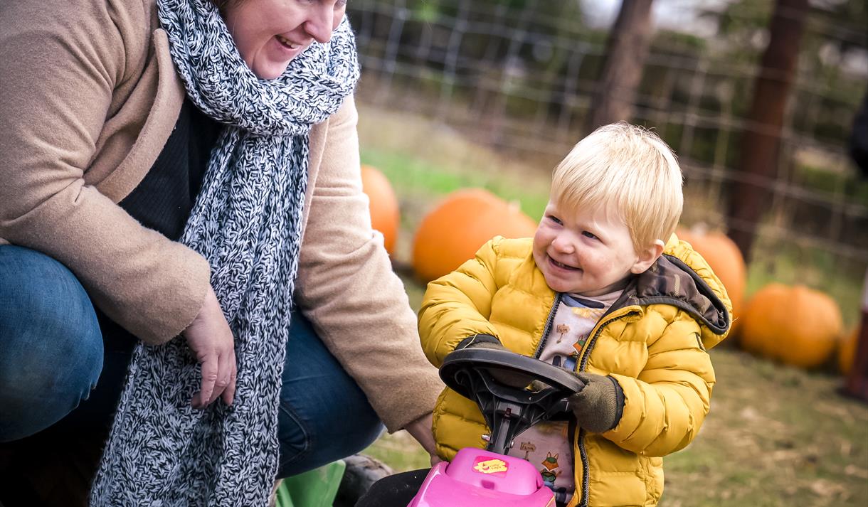 Ridgeway Farm Pumpkin Festival