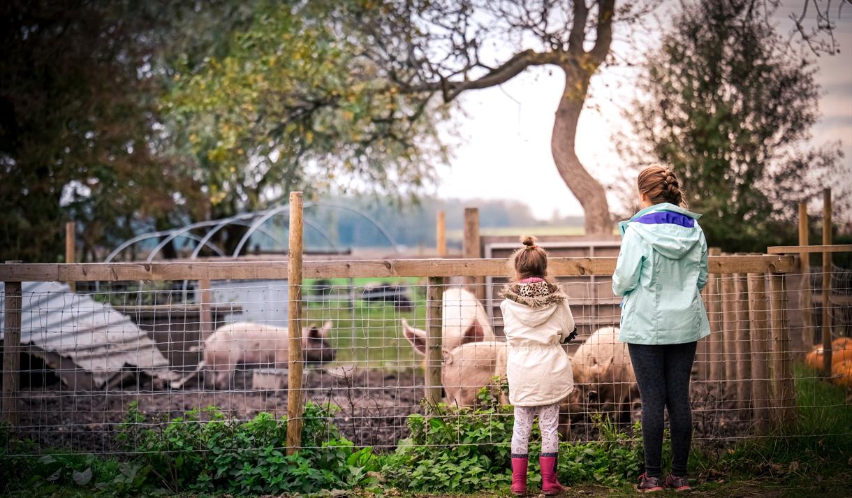Mini Farmers Club