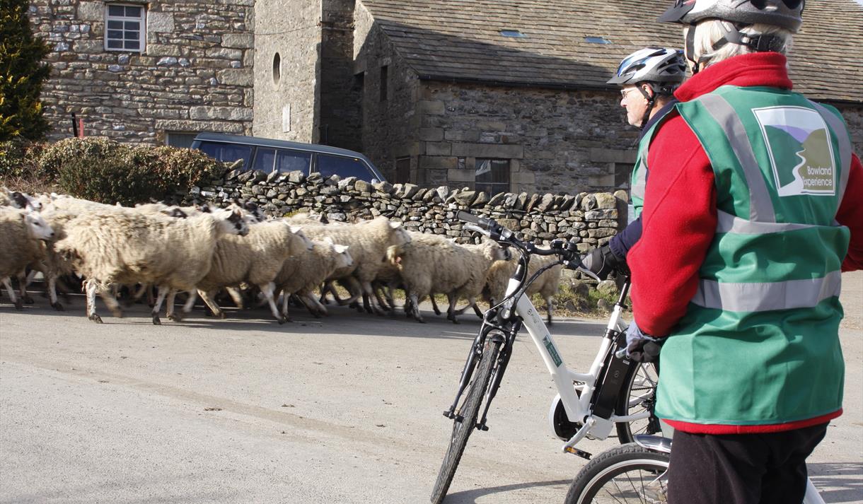 Cycling along the Bowland lanes