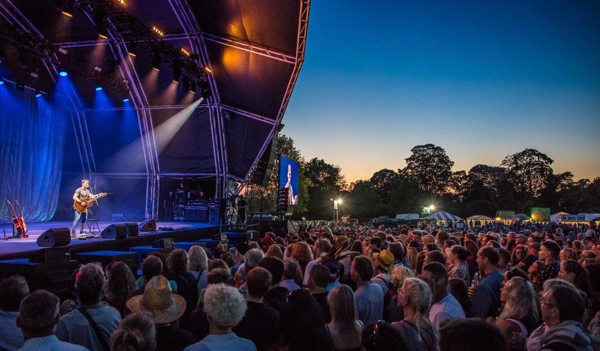 Grateful Fred's: Rodney Branigan