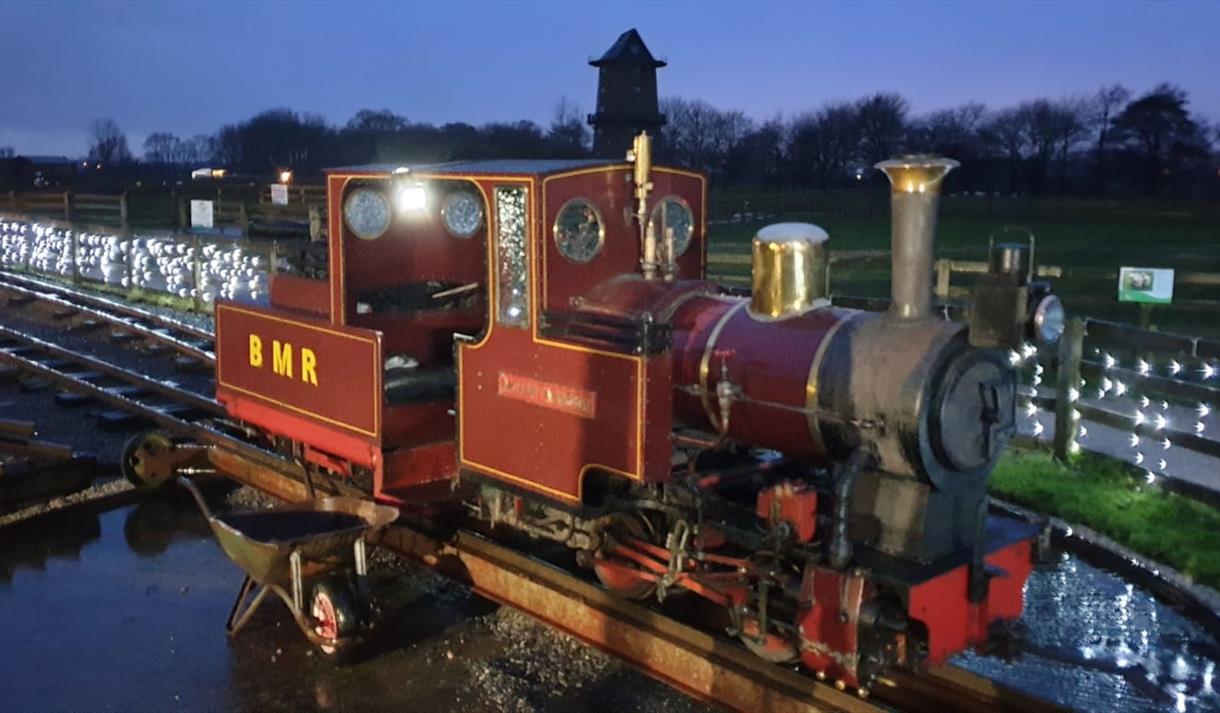 Santa Train at Windmill Animal Farm