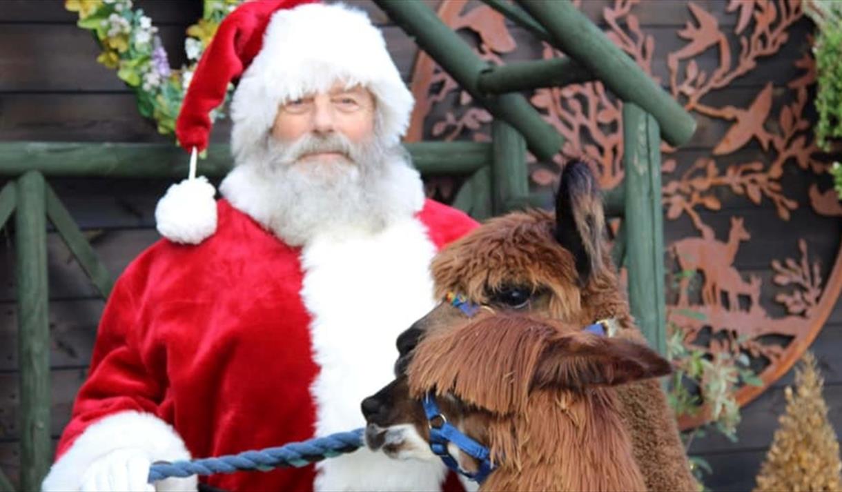 Santa at Lowlands Farm