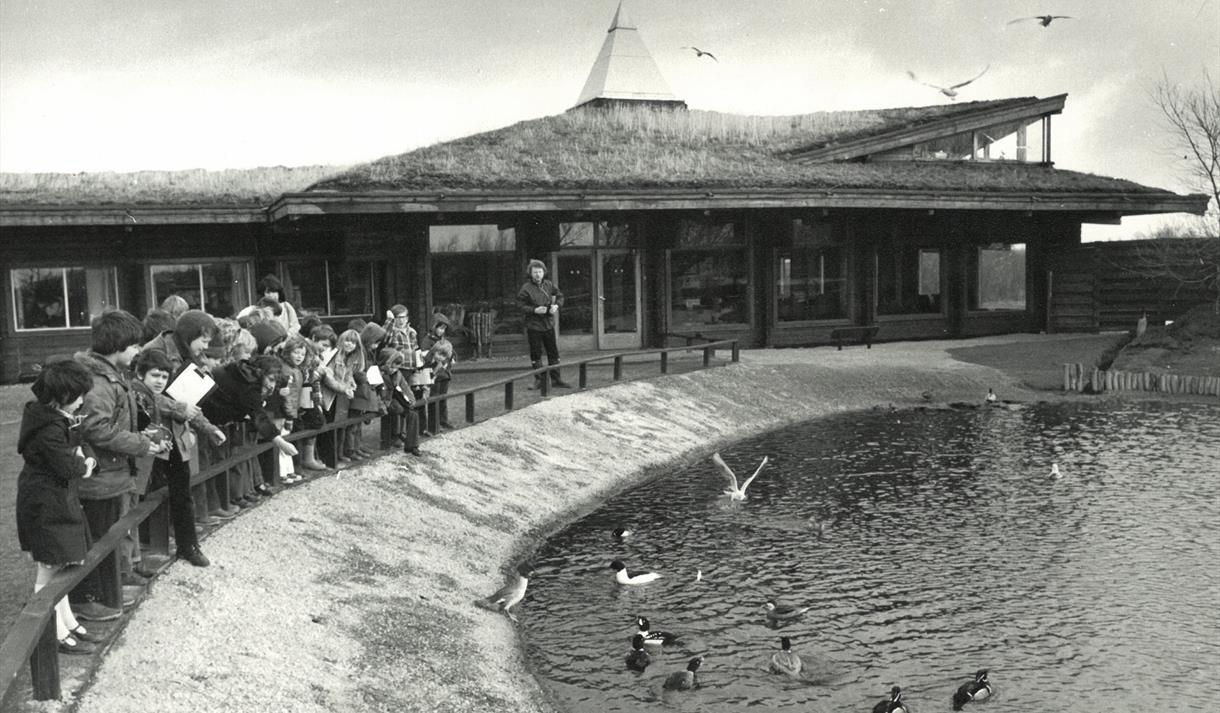 50th Anniversary Before and After Trail at WWT Martin Mere