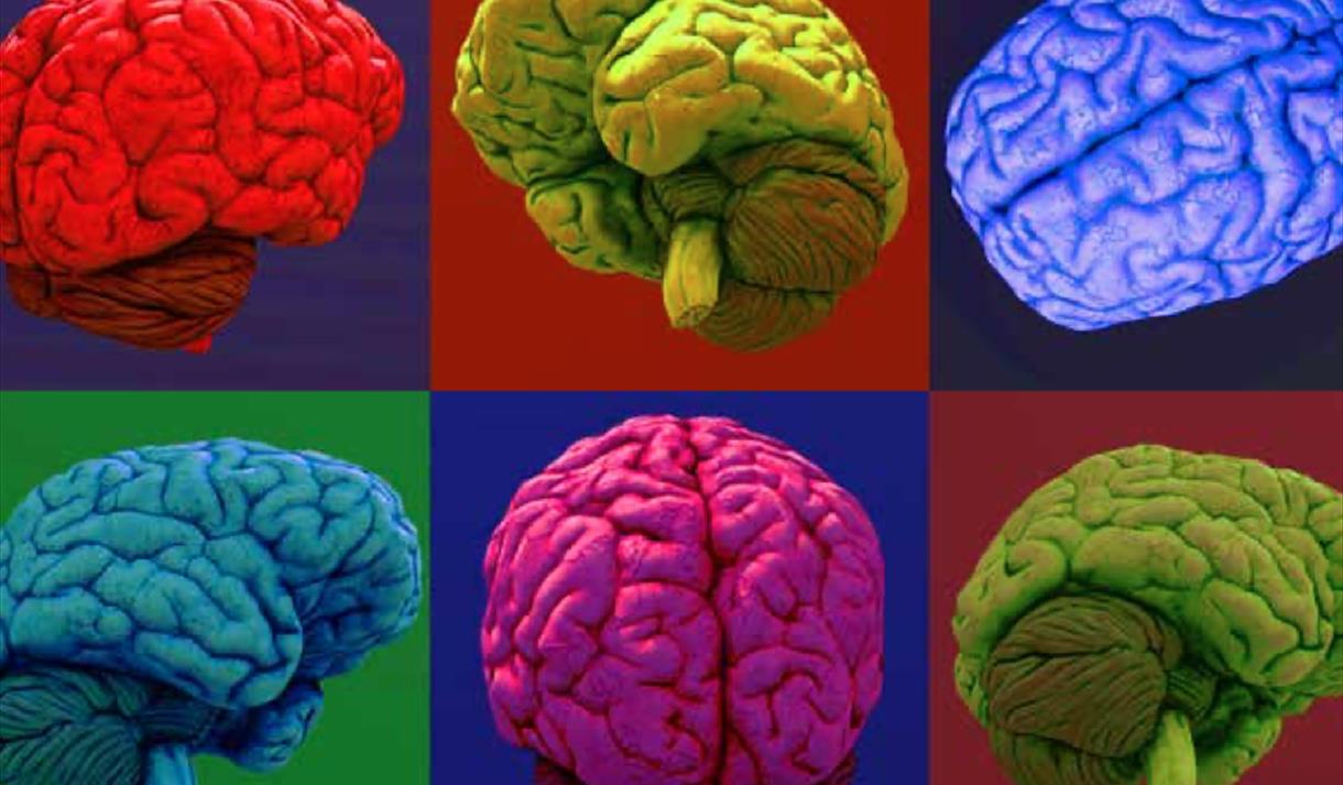 Festival of the Brain