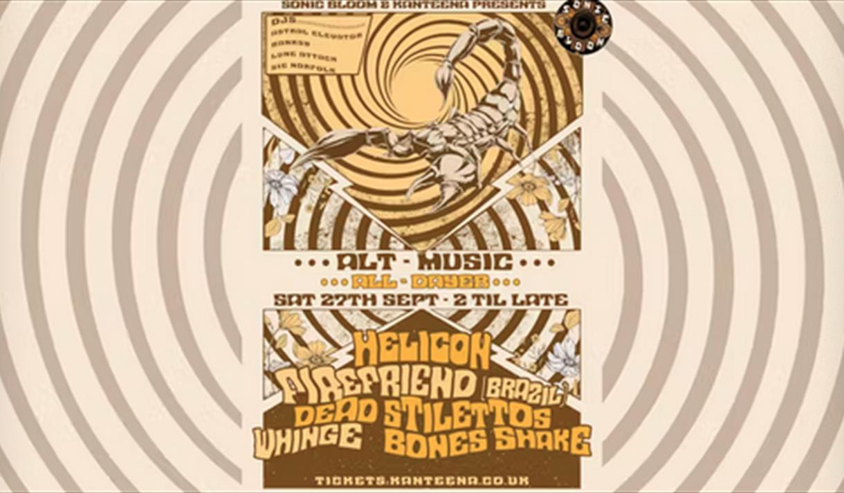 Alt Music All Dayer at Kanteena
