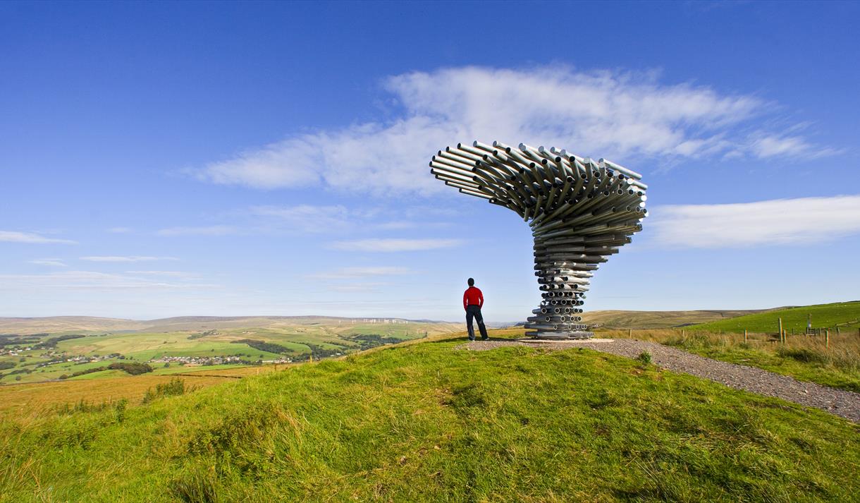 Singing Ringing Tree - Panopticon