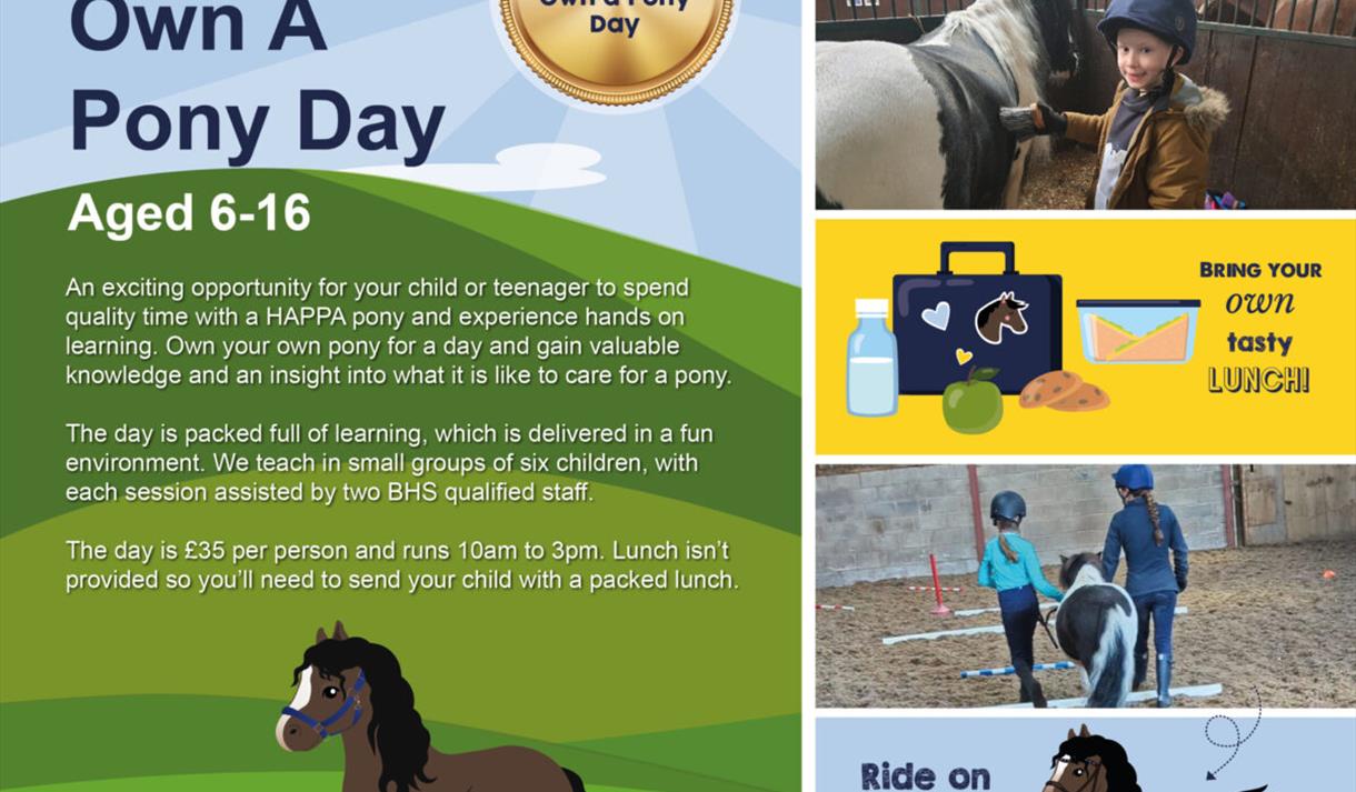 Own A Pony Day