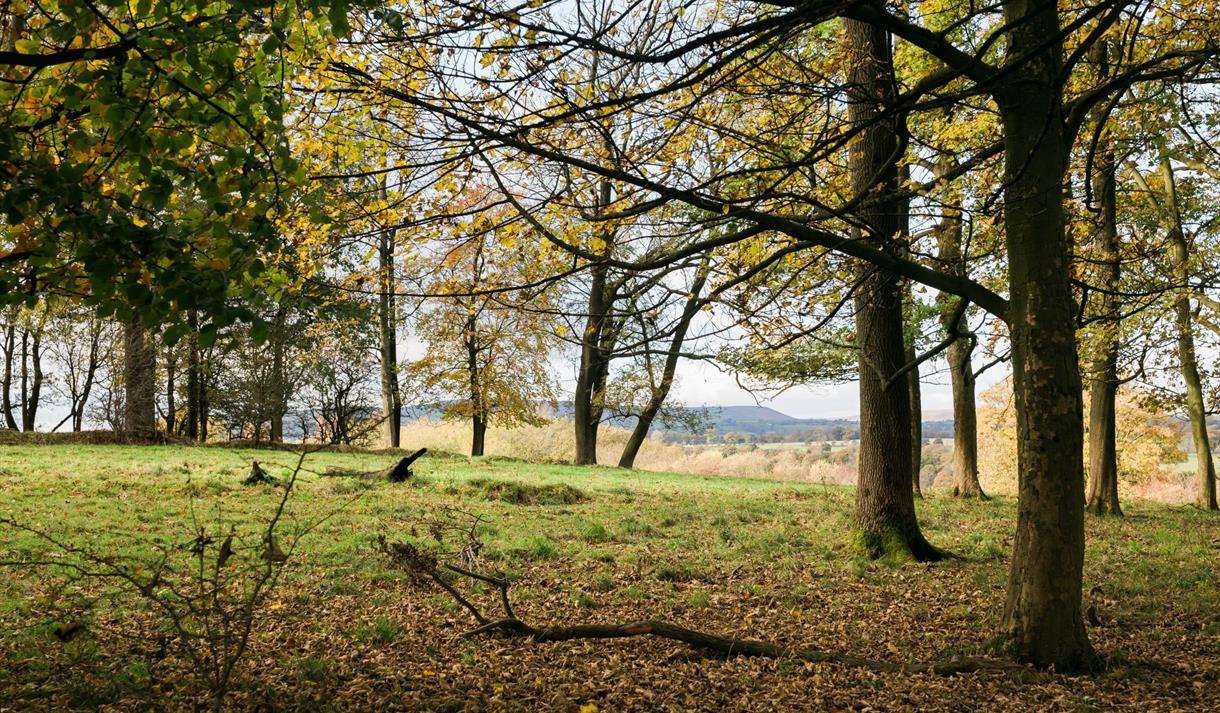 The Estate Grounds at Stirk House Hotel