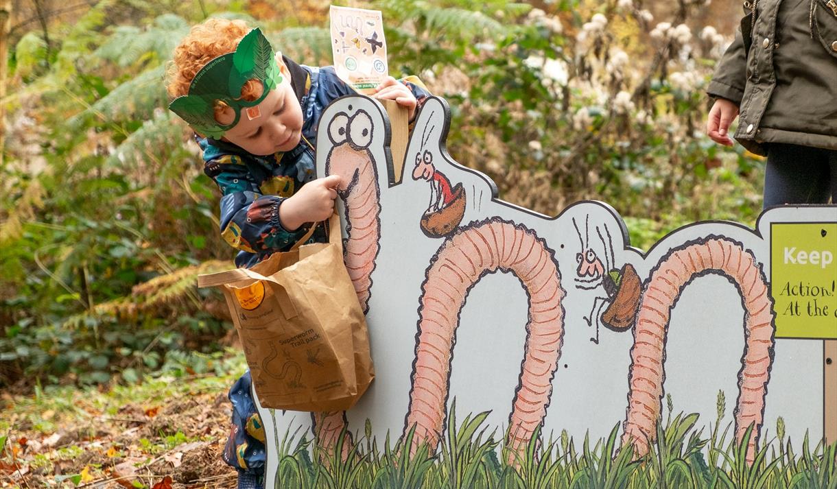 Superworm trail at Gisburn Forest