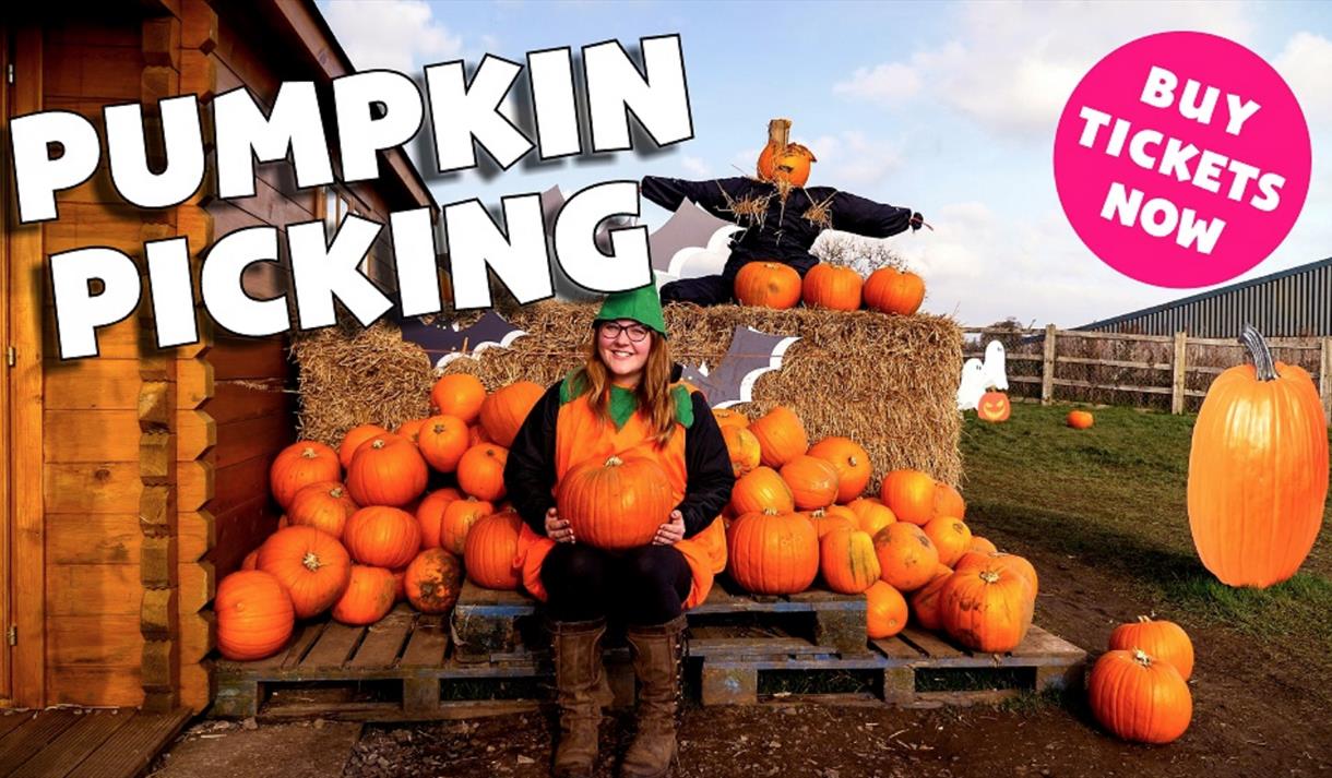 Halloween & Pumpkin Picking
