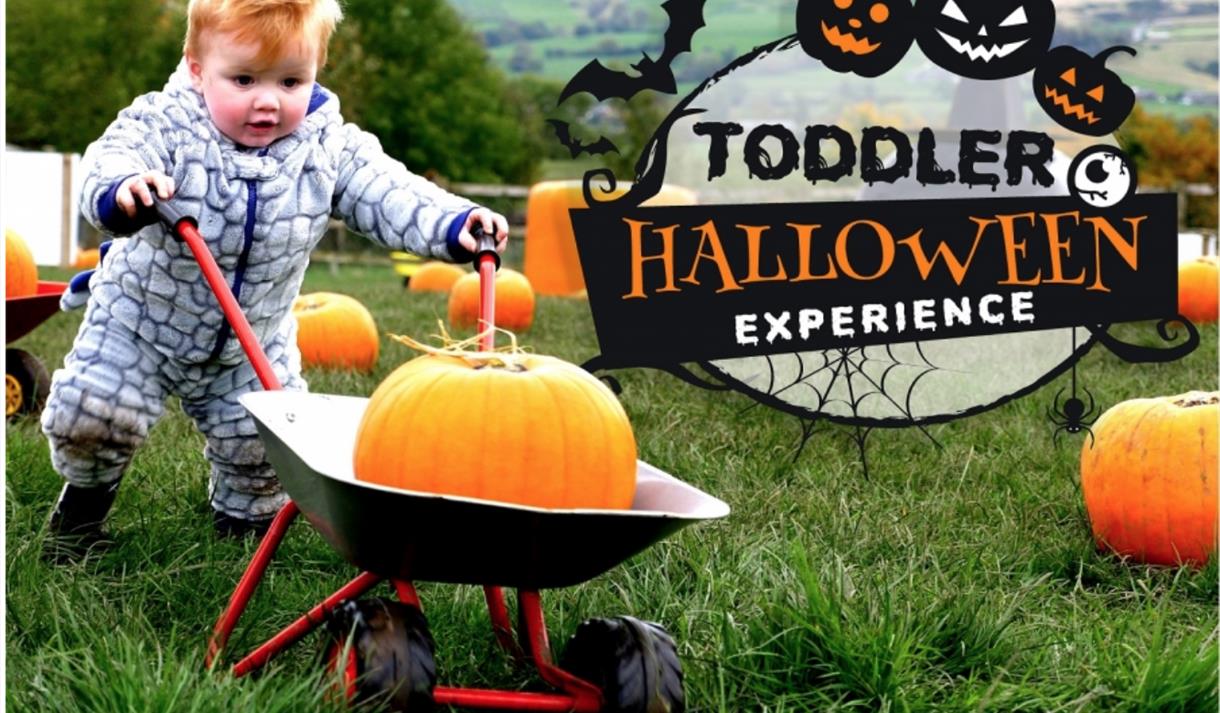 Toddler Halloween Experience