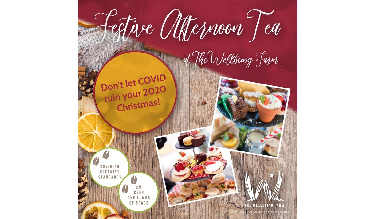 Festive Afternoon Tea and Meet The Llamas