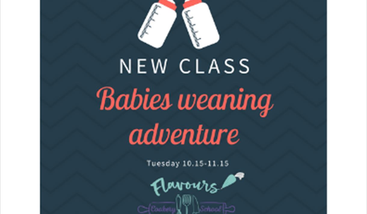 Baby Weaning adventure class