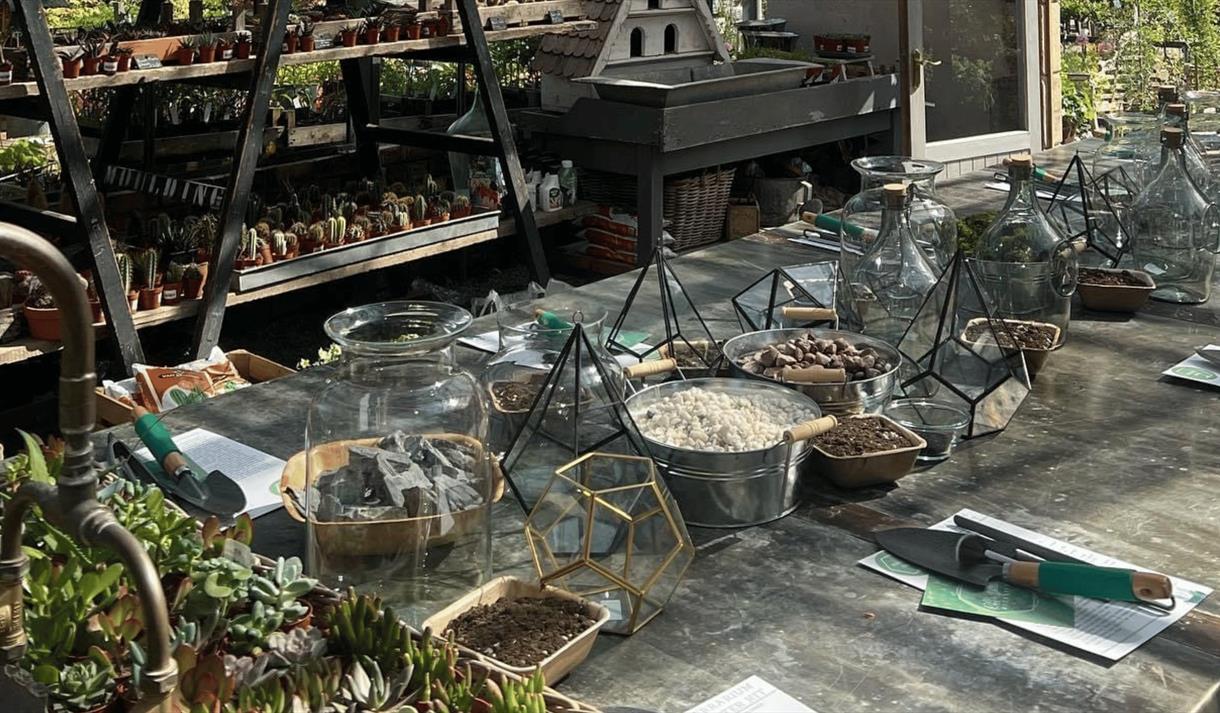 Terrarium Planting Workshop