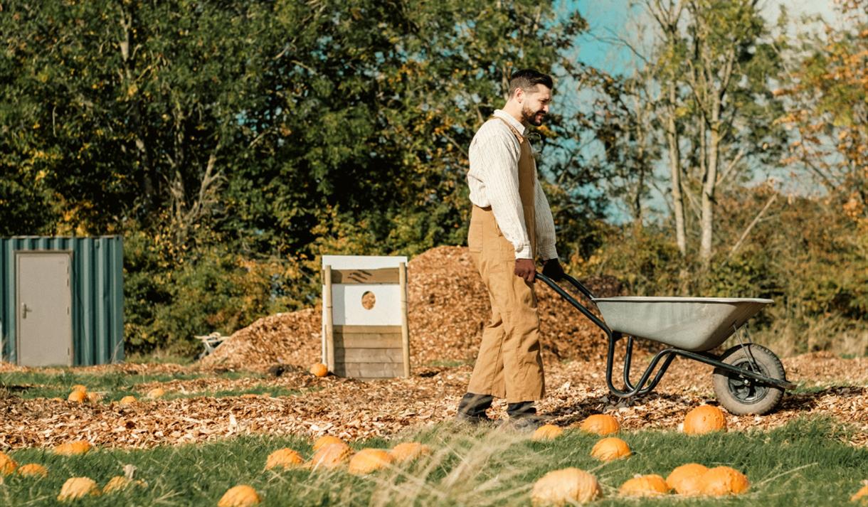 Pumpkin Patch