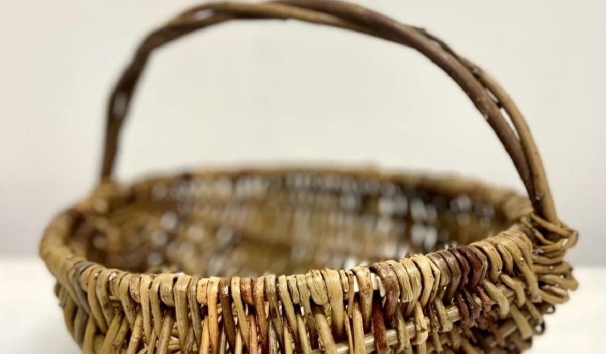 The Rewilding: Willow Frame Basket Workshop