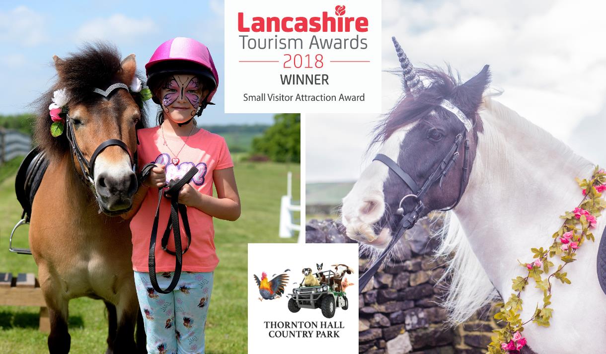Pony World at Thornton Hall Country Park