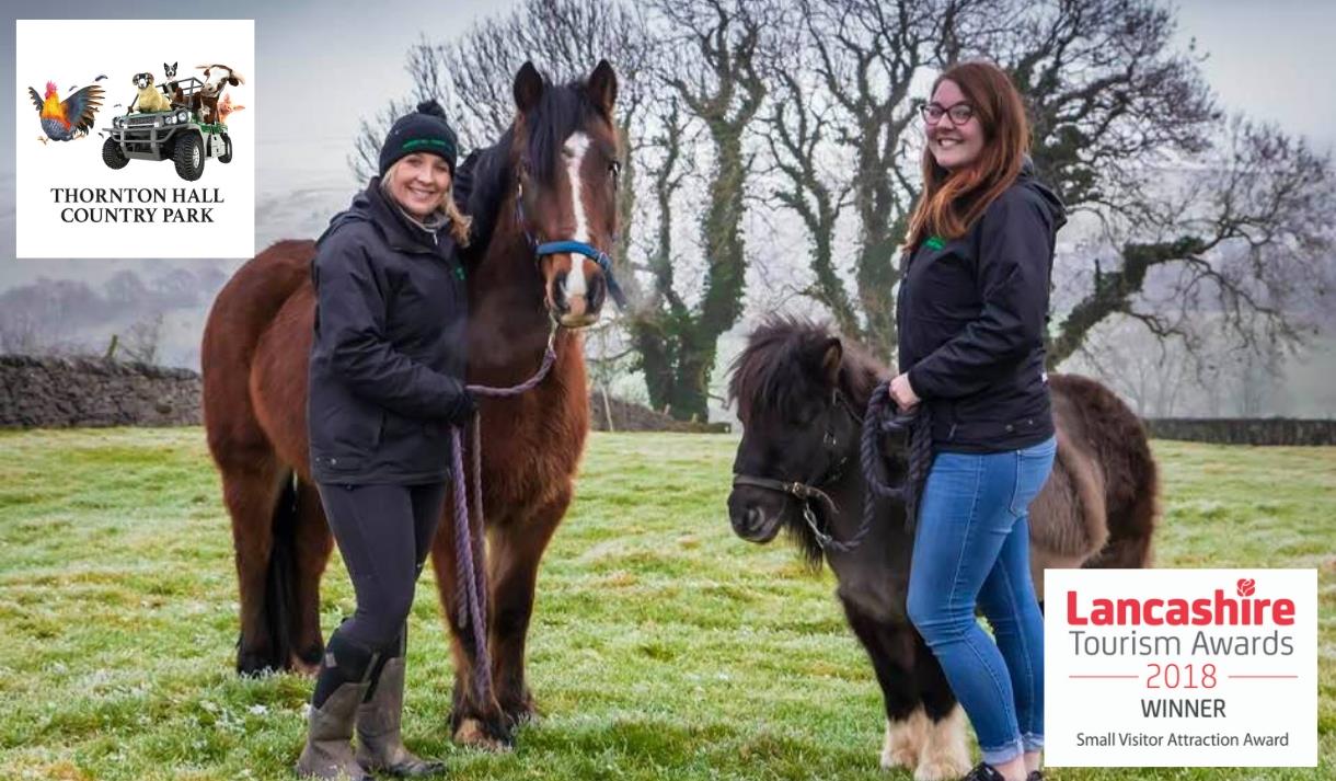 Pony World at Thornton Hall Country Park