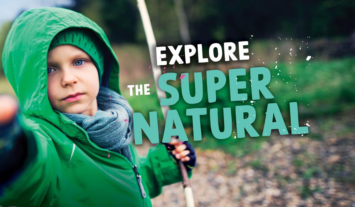 October Half Term Activities at WWT Martin Mere