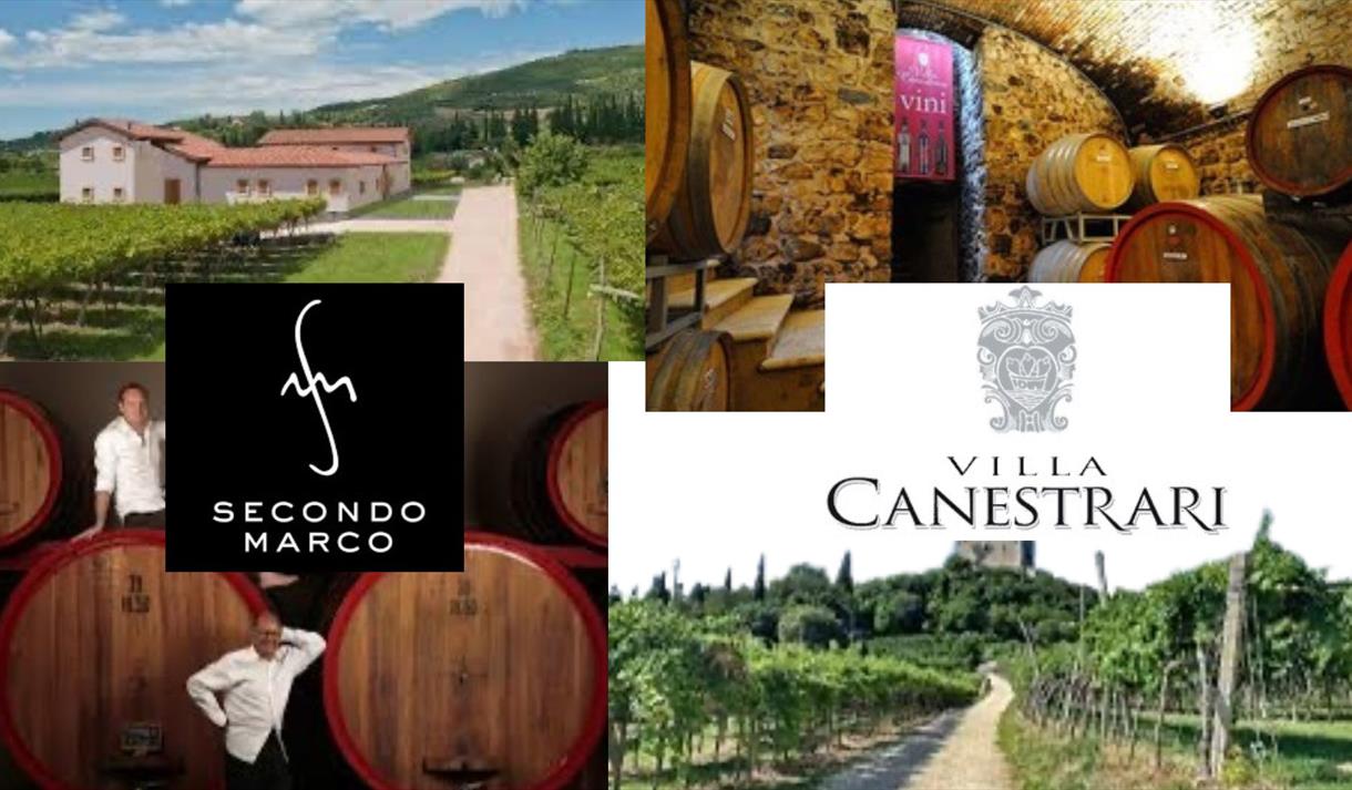 Valpolicella Wine: A Very Special Tasting Experience