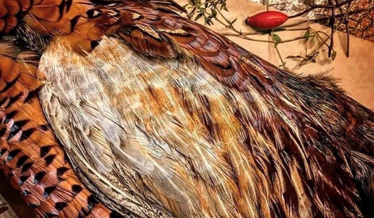 The Rewilding: Rewild Yourself Game Prep, Fire Skills & Seasonal Lunch