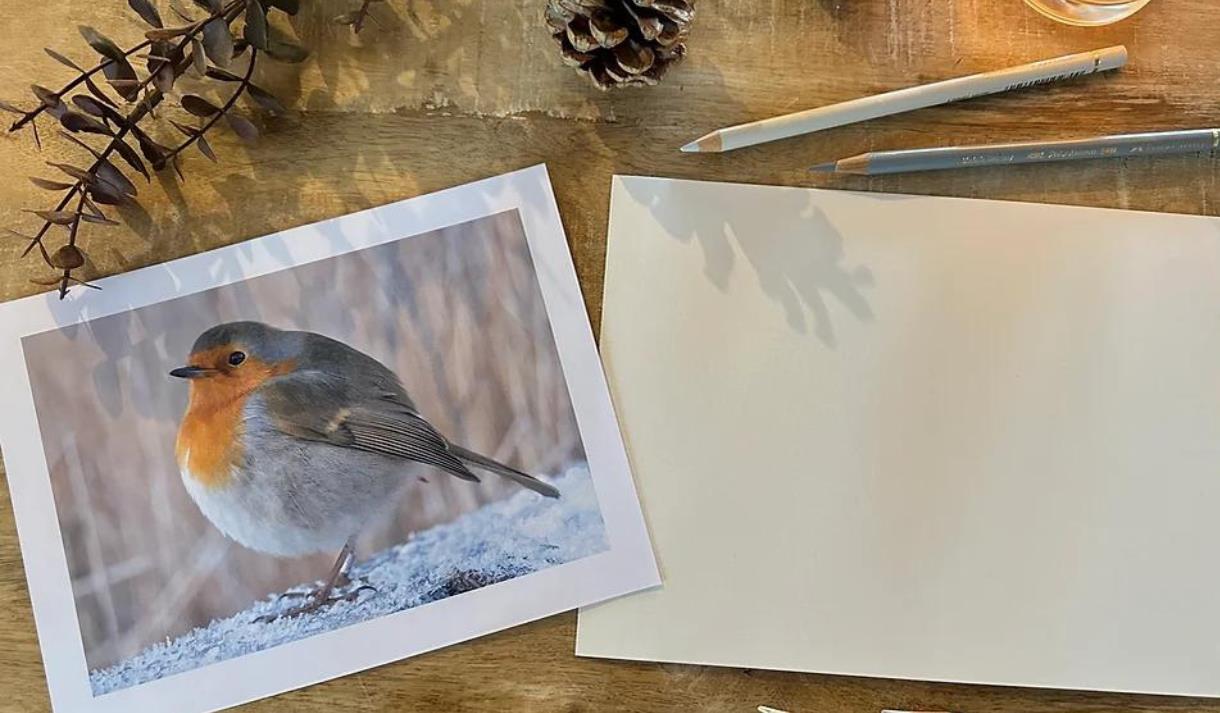 The Rewilding: Coloured Pencil Christmas Workshop