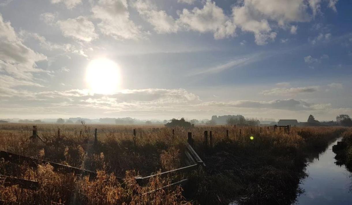 Guided Walks at WWT Martin Mere