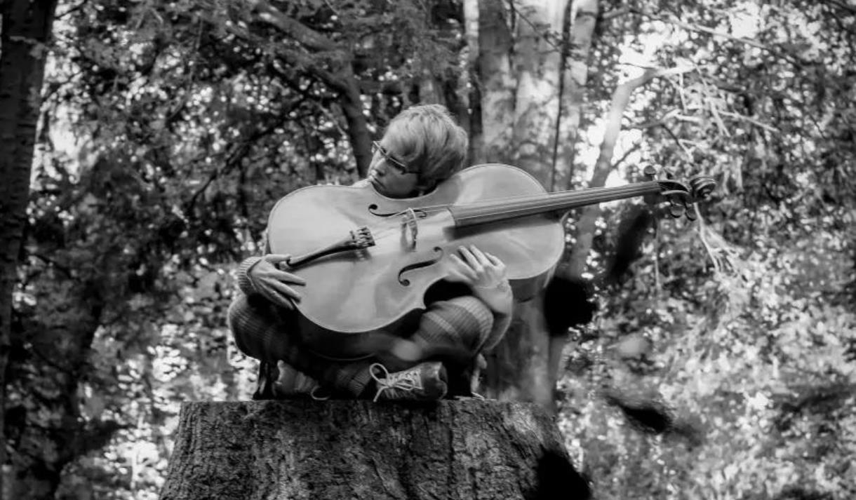 Maja Bugge: Suite for Seabirds