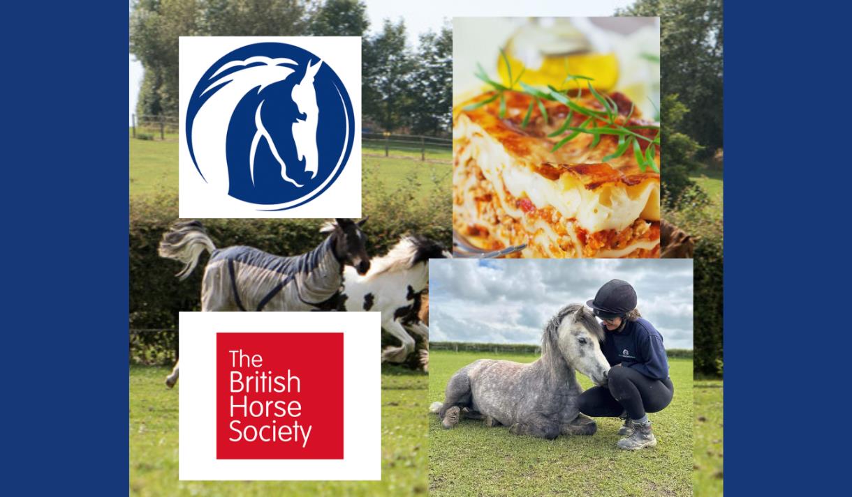 Behind the Scenes at Penny Farm World Horse Welfare
