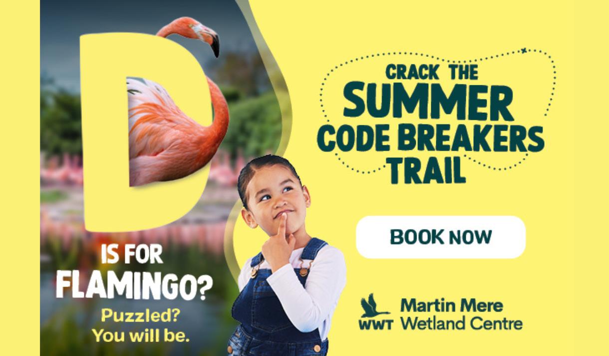 Summer Codebreakers Trail at WWT Martin Mere