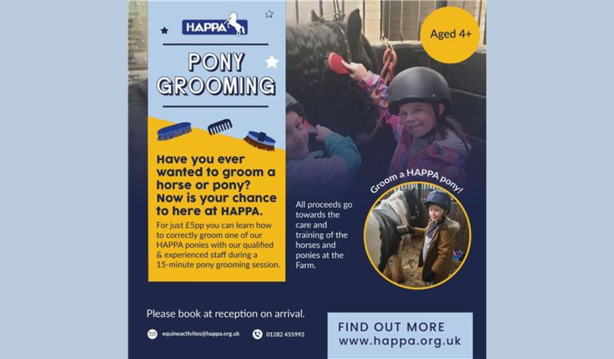 Pony Grooming at HAPPA