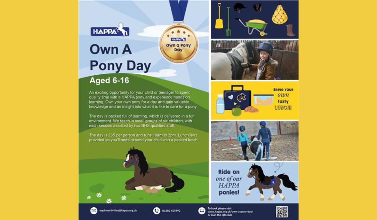Own a Pony Day at HAPPA