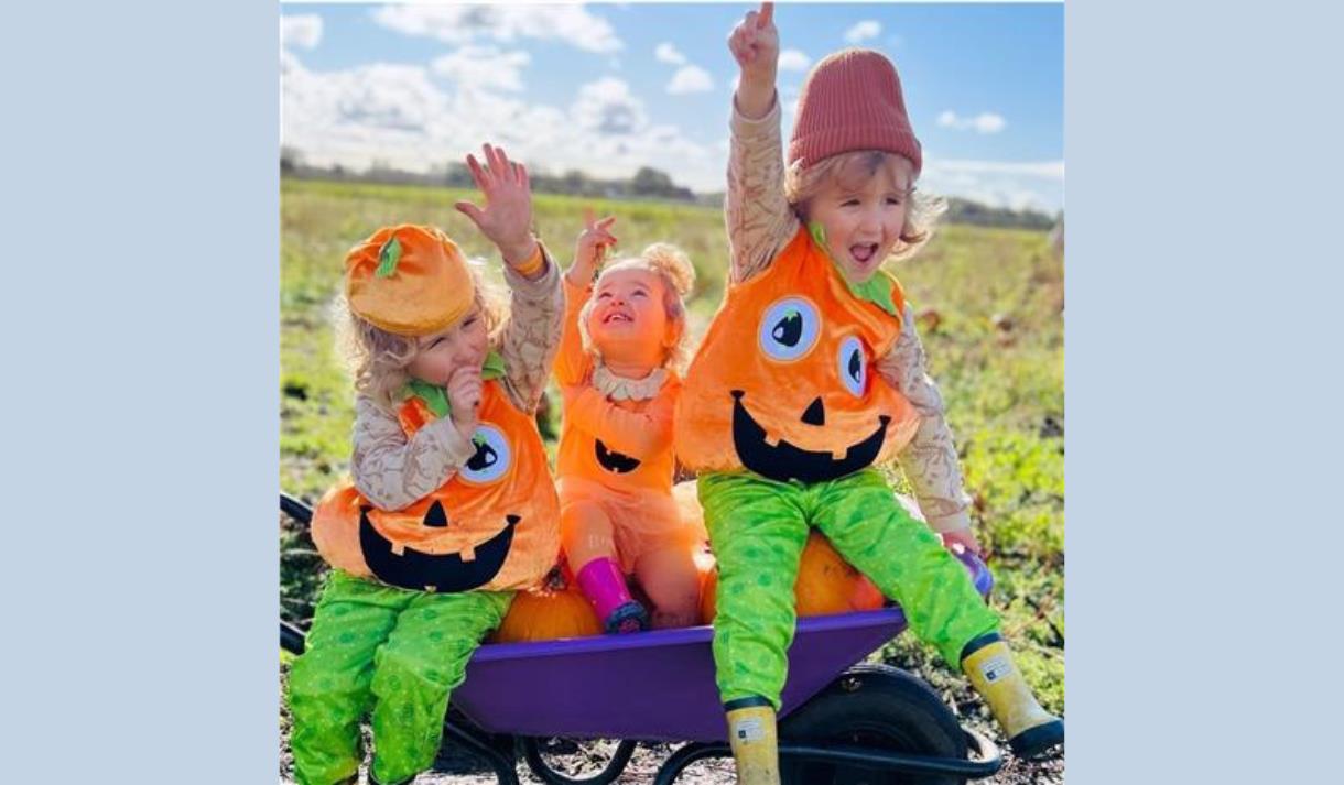 The Pumpkin Picking Adventure at Windmill Animal Farm