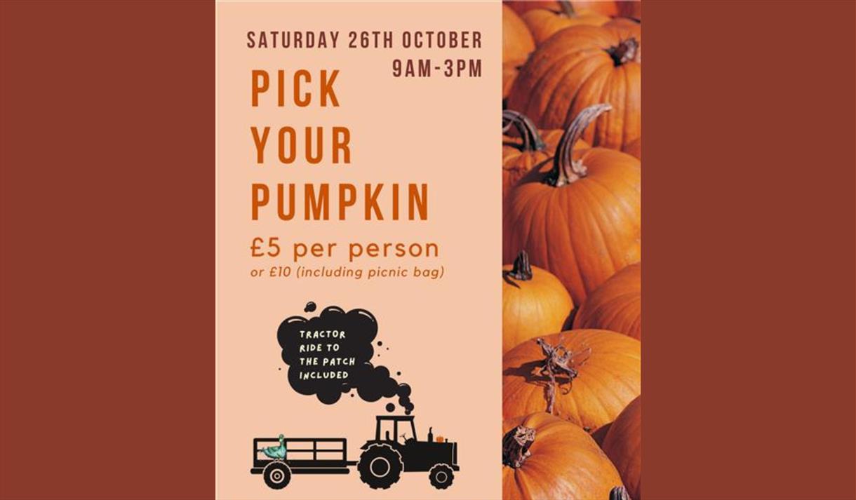 Pick Your Pumpkin at Brickhouse Farm