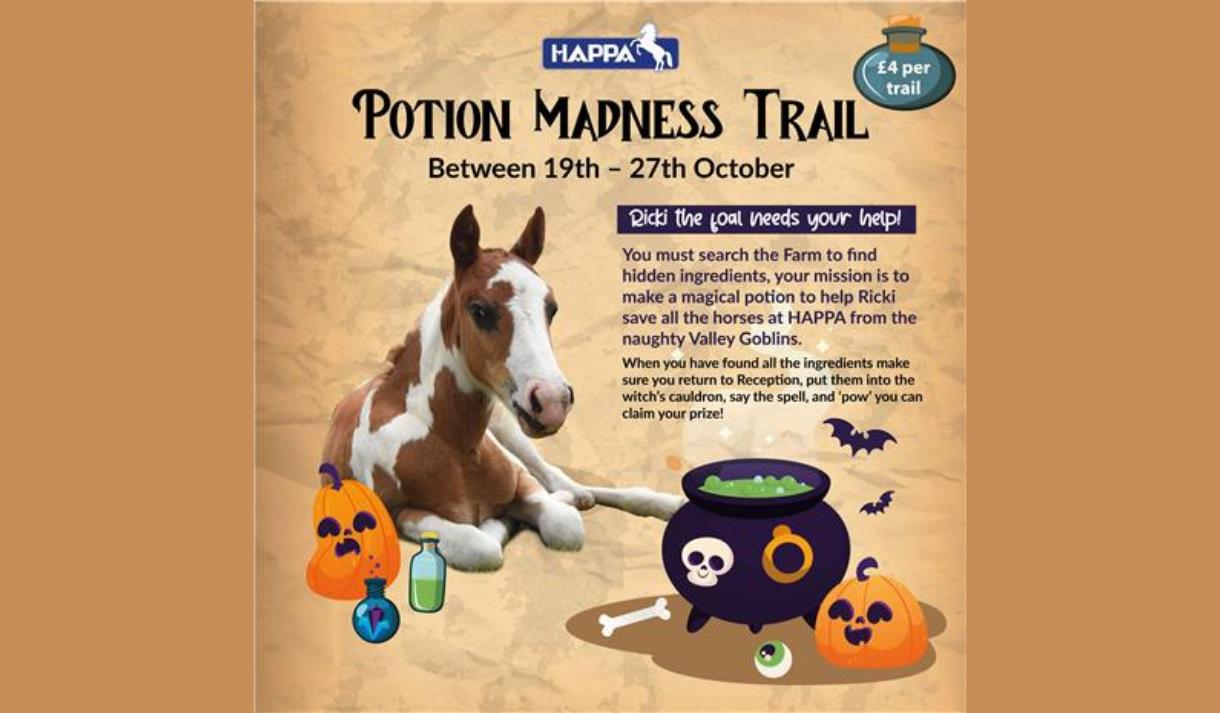 Ricki's Potion Madness Trail at HAPPA