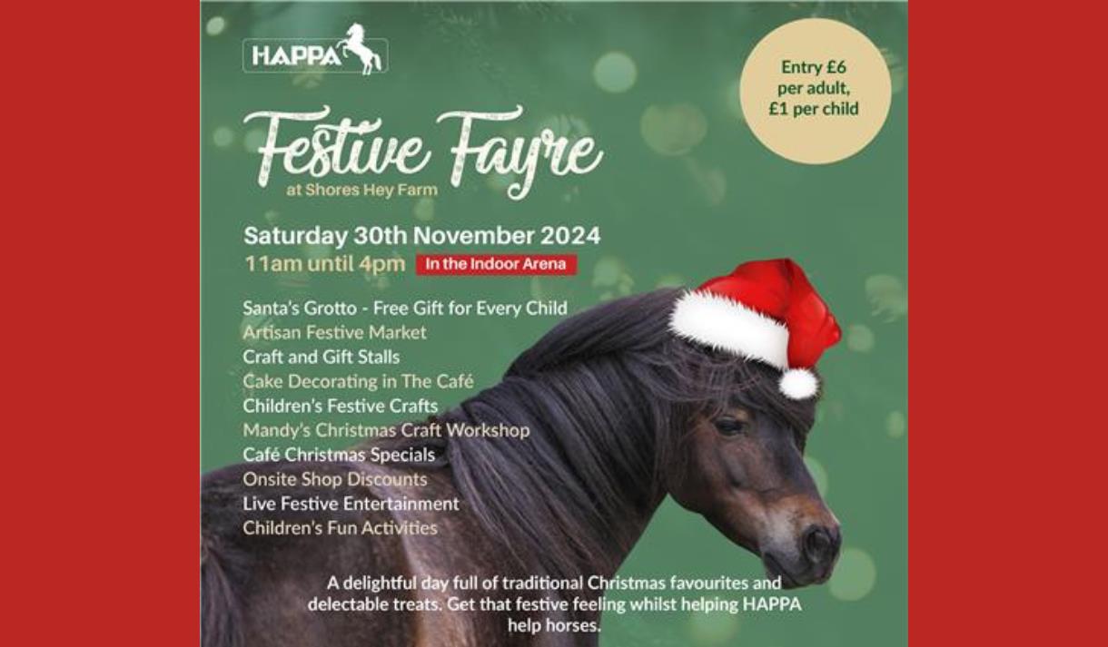 Festive Fayre at HAPPA
