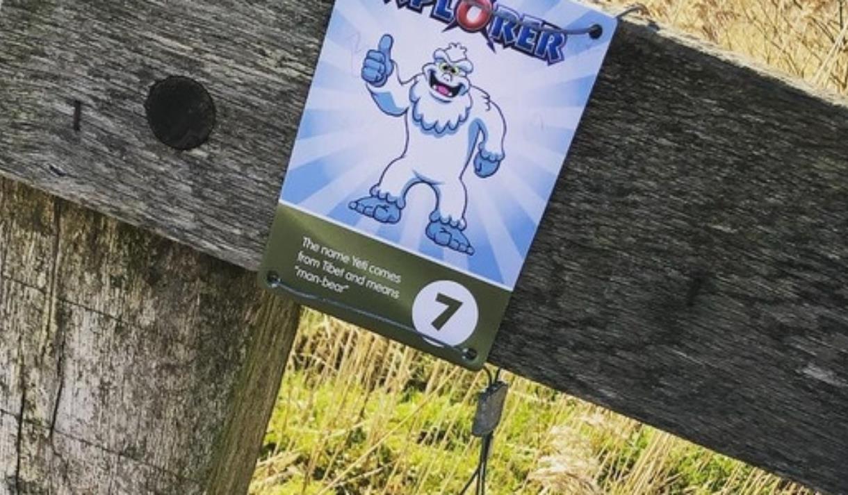 Winter Xplorer at Brockholes Nature Reserve