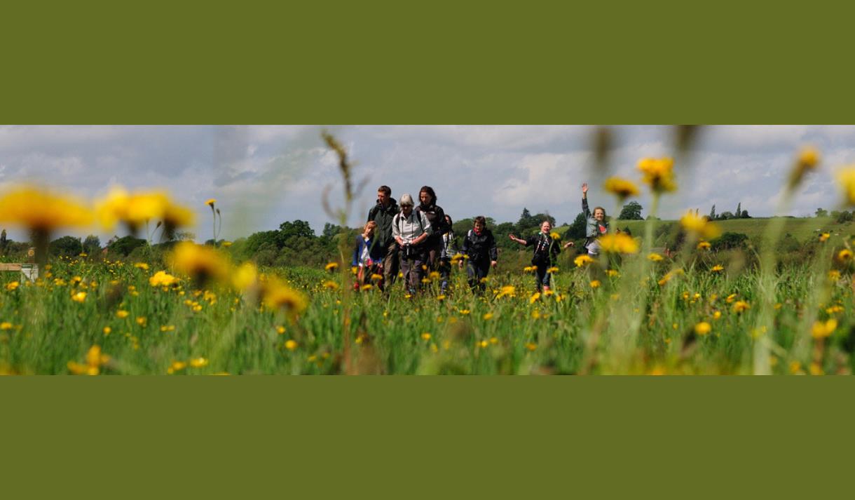 Reserve Ramble at Brockholes Nature Reserve