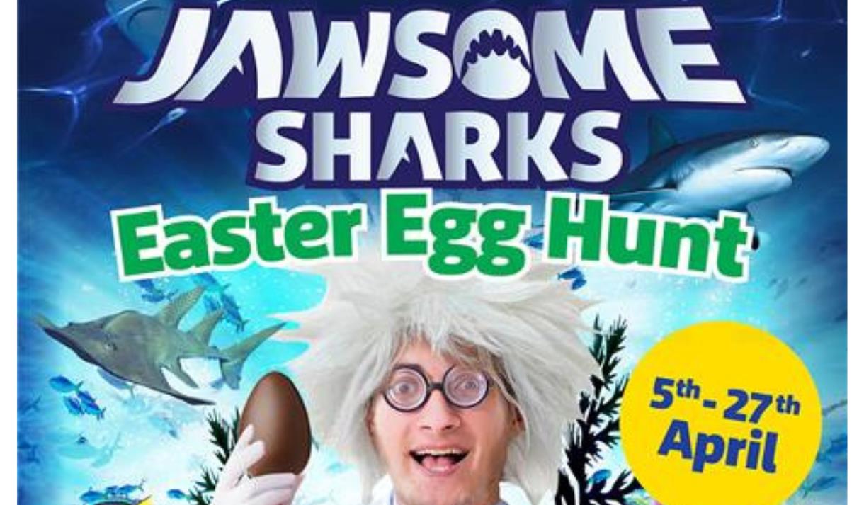 Jawsome Sharks Easter Egg Hunt