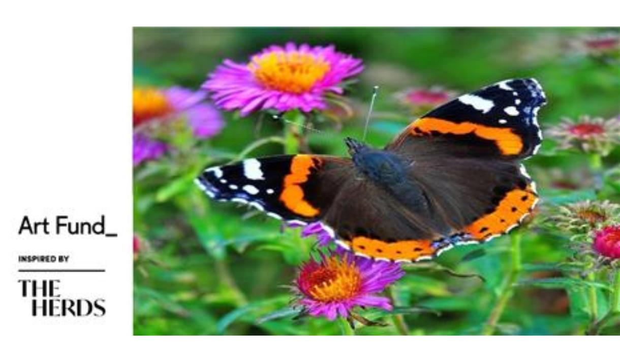 Wild Art Family Fun: May Half Term with Lela Harris