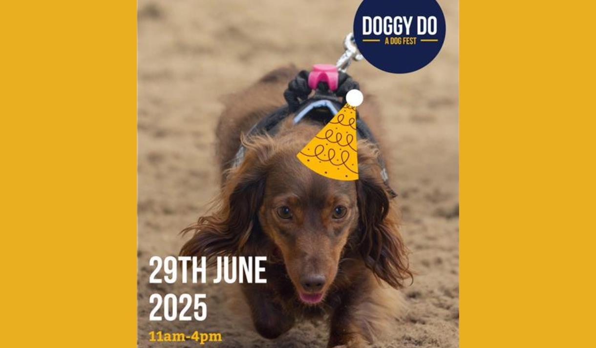 Doggy Doo at HAPPA